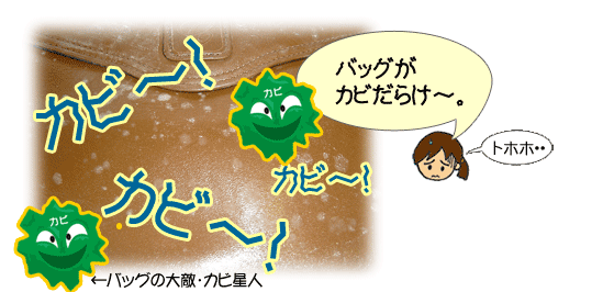 バッグのカビ落としは 自宅で水洗いしてキレイに落とせます バッグのカビ落としは 自宅で水洗いしてキレイに落とせます